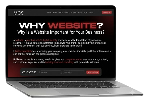 Business Website